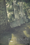 Щедрин. Терраса на берегу моря. Репродукция на спецткани 44х65, фото №6