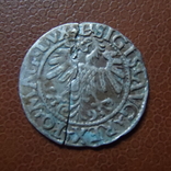 Полугрош 1559  серебро (М.3.44)~, фото №4