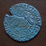 Полугрош   1558   серебро  (М.2.20)~, фото №3