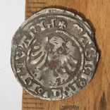 Викопна монета, фото №2