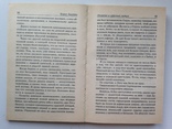 Борис Акунин  Пелагея и красный петух Роман в 2 томах  2006 г., фото №5