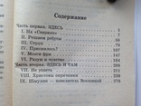 Борис Акунин  Пелагея и красный петух Роман в 2 томах  2006 г., фото №6