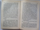 Борис Акунин  Пелагея и красный петух Роман в 2 томах  2006 г., фото №8