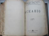 Конволют Дюма А.(отца) 1900 г, фото №10