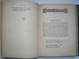 1893 Божественная комедия. Ад. Чистилище. Данте-Алигиери., фото №7