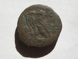 Египет, Птолемей, гемидрахма 250-220 гг. до н.э., фото №3