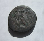 Египет, Птолемей, гемидрахма 250-220 гг. до н.э., фото №5