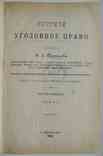 Русское уголовное право. Таганцев Н.С. Том 1. 1902, фото №2