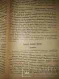 1899 Физический мир женщины, фото №7