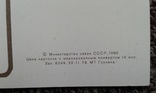 Крым, Ялта, Поляна сказок. (Двойная, чистая-1980 г.), фото №12