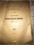 1918 Археология Ольвии Огромный Формат 38/27 Красочная Книга, фото №12