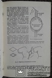 Советы по обработке деталей одежды. (А. Уорбертон.), фото №11