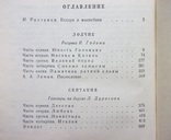 Зодчие скитания. Александр Волков, фото №6