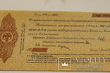 1000руб 1920 г 5% кратк обяз казначейства без номера (невыкуп), photo number 3