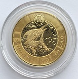 5 $ 2018 год Каймановы острова золото 31,1 грамм 999,9’, фото №2