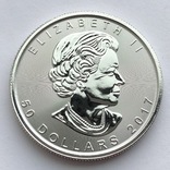50 $ 2017 год Канада платина 31,1 грамм 999,5’, фото №2