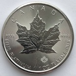 50 $ 2018 год Канада платина 31,1 грамм 999,5’, фото №4
