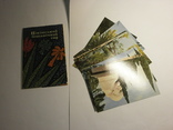 Набор открыток 1968 Никитский ботанический сад. Крым. Ялта. 10 шт, фото №2
