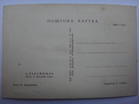 Почтовые открытки г. Радомышля Житомирской области издания 1963 года., фото №8