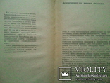 Фина Барзам. Мода и красота. 1967г. Организация показов мод., фото №4