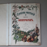 1905 г. огромная цветная худ. С.В.Животовский - Киев "Царство растений и минералов", фото №2