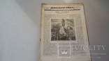 Красная нива № 7 за 1928 год. (0063), фото №2