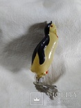 Пингвин, фото №4