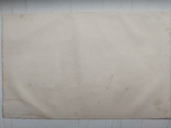 Старовинна гравюра Дендропарк Софіївка Умань 1836р, фото №7