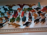Динозавры 41 штука, фото №4