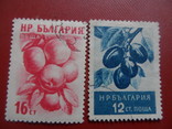 Марки Болгария  фрукты, фото №2