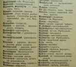 Українсько-Російський словник. Дубровський В. 1924, фото №5