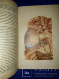 1906 Атлас и очерк офтальмологии, фото №2