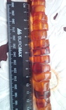 Бусы из янтаря . 80 см .143 грамма, фото №8