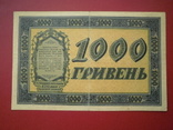 Україна 1918 рік 1000 гривень., фото №3