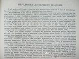 Теорія українського народного танцю 1968 р., фото №4