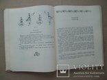 Теорія українського народного танцю 1968 р., фото №7