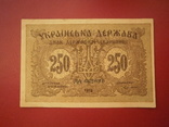 Україна 1918 рік 250 карбованців., фото №2