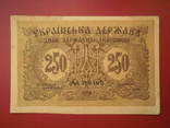 Україна 1918 рік 250 карбованців., фото №3