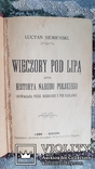 Lucjan Siemieski.Wieczory pod lip czyli historyja narodu polskiego, фото №4