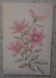 Розовые Лилии, фото №2