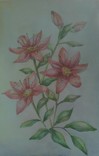 Розовые Лилии, фото №5
