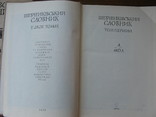 Шевченківський словник в 2-х томах, 1976р., фото №6