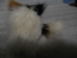 Меховой  котик, фото №4