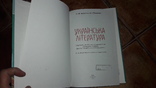 Українська література Авраменко 10 клас  2010 учебник, фото №3