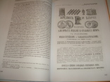 Ограждение лестниц Одесса,19-нач.20 в.Одесса,2014 г.,тир.300экз.,196 стр.большой формат, фото №11