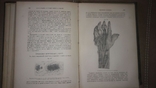 "Основы общей патологии" 1894 год,В.В.Подвысоцкий, фото №8
