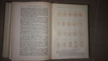 "Основы общей патологии" 1894 год,В.В.Подвысоцкий, фото №9