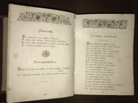 1883 Не в бровь, а в глаз Д. Минаев, фото №10