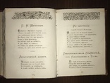 1883 Не в бровь, а в глаз Д. Минаев, фото №11