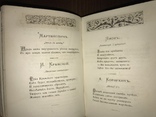 1883 Не в бровь, а в глаз Д. Минаев, фото №13